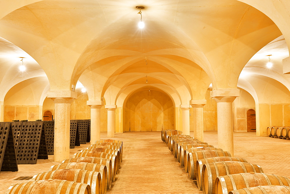 Wine cellar with wooden barrels, Buglio in Monte, Valtellina, Lombardy, Italy, Europe