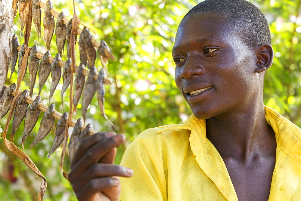 A boy looks at some small fish he has hung out to dry, Uganda, Africa