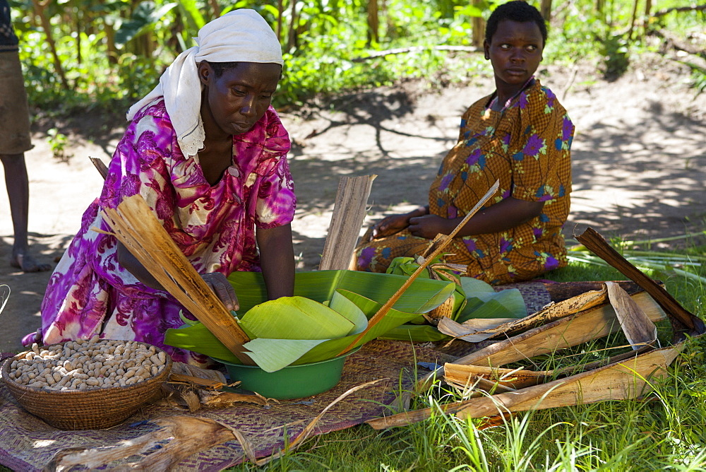 A woman wraps some groundnuts in a banana leaf, Uganda, Africa