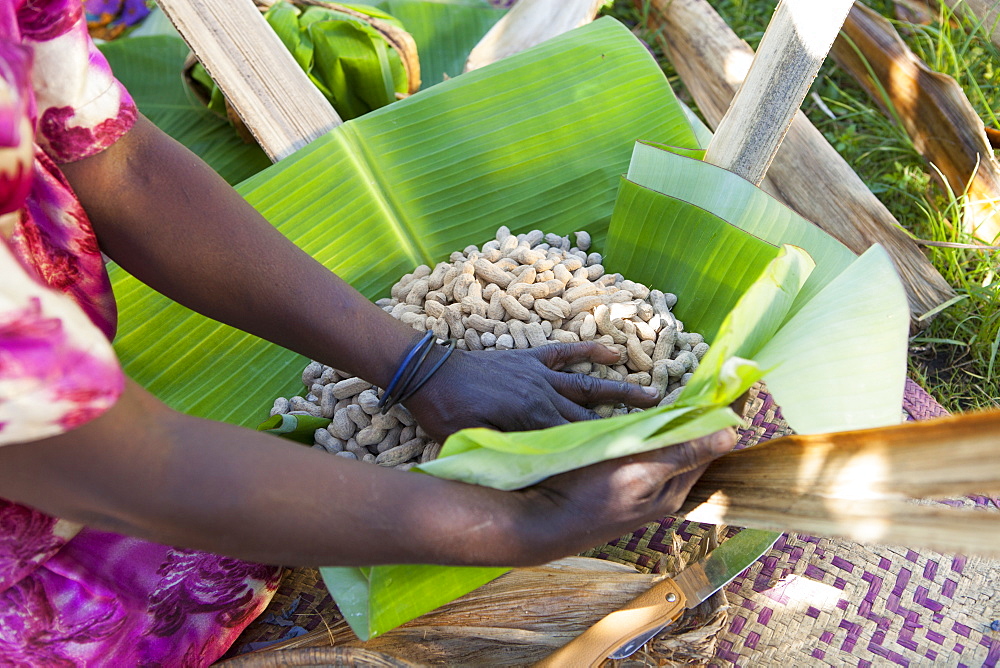 A woman wraps some groundnuts in a banana leaf, Uganda, Africa