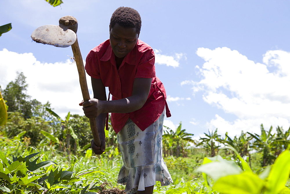 A woman using a hoe to weed vegetables, Uganda, Africa