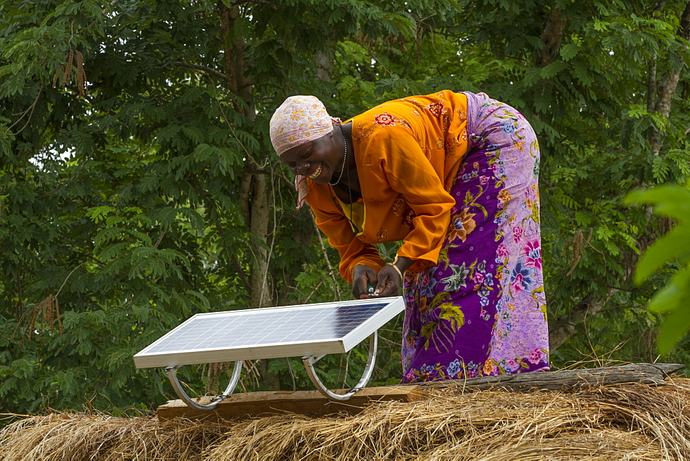 A woman, known as a Solar Mama, fixes a solar panel to the top of a traditional thatched mud hut, Tanzania, East Africa, Africa