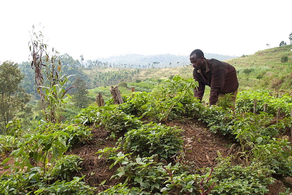 A man works on the kitchen garden at Ngwino Nawe, a centre for disabled children in the far south west of Rwanda, Africa