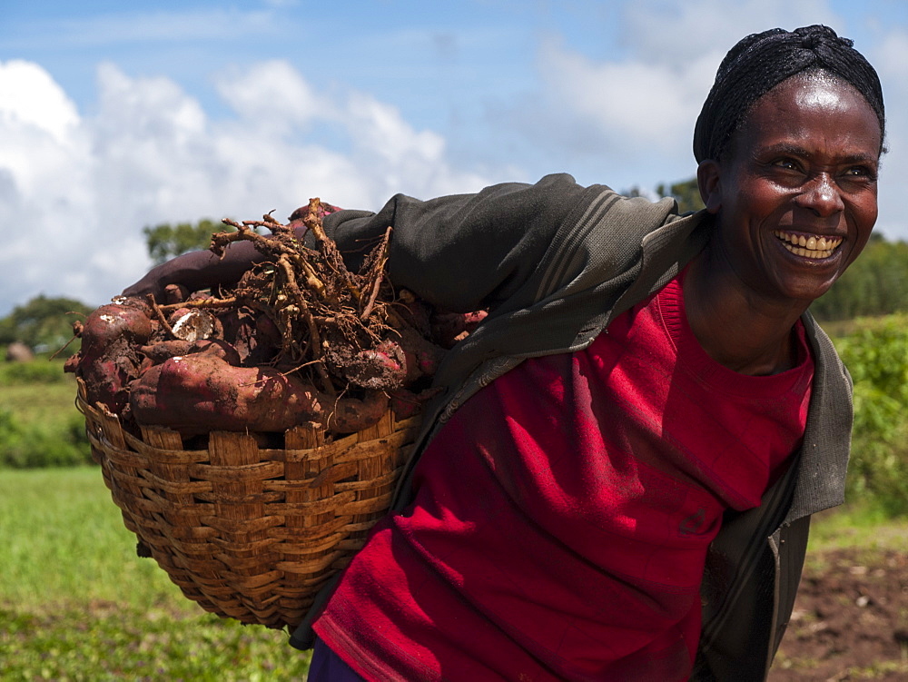 A woman smiling proudly with a basket of sweet potatoes, Ethiopia, Africa