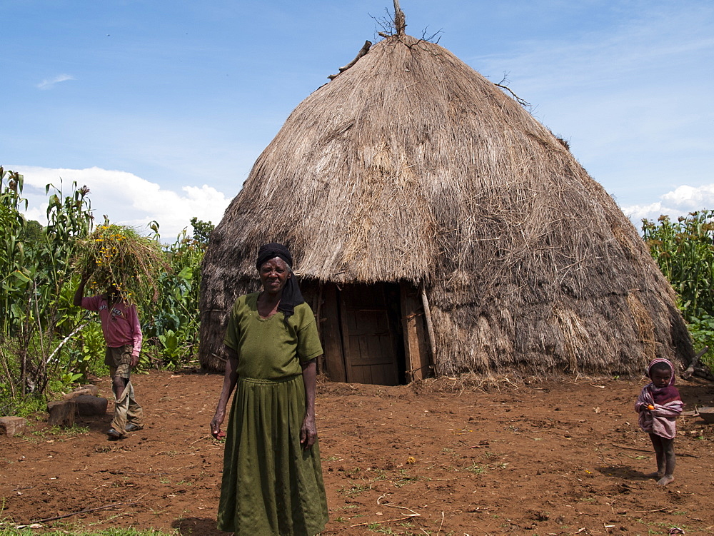 A traditional thatched mud hut, Ethiopia, Africa