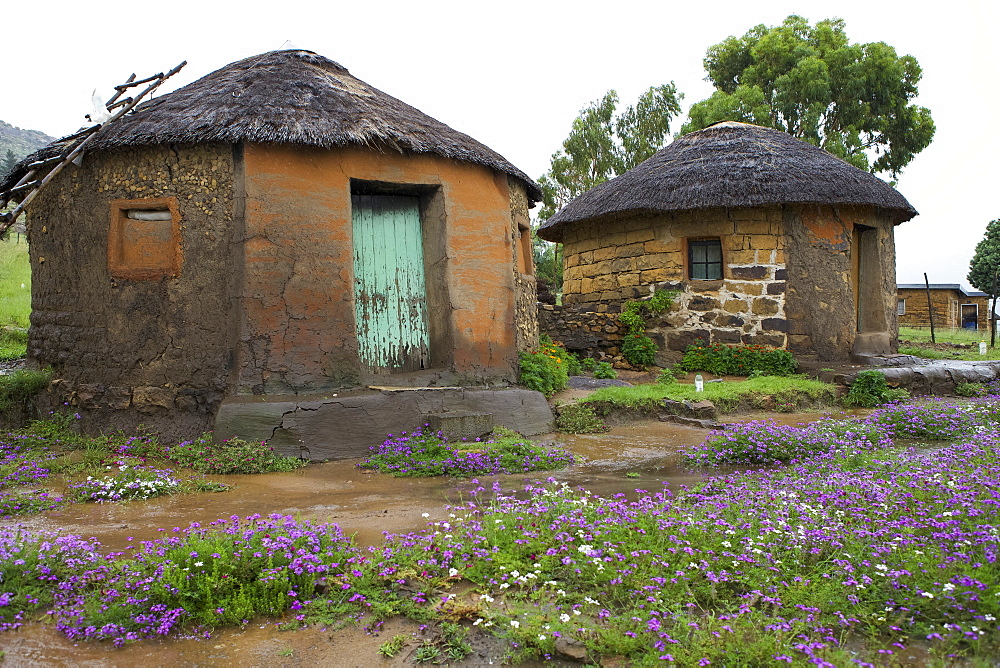 Traditional huts with thatched roofs, Lesotho, Africa