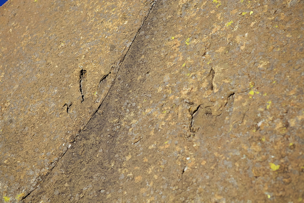 Dinosaur foot prints in the rock on the mountains behind Morija Guest house, Lesotho, Africa