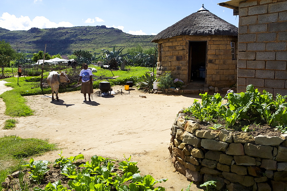 A female farmer standing outside a typical looking farm yard, Lesotho, Africa