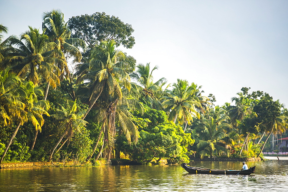 Dugout canoe fishing boat in the backwaters near Alleppey (Alappuzha), Kerala, India, Asia