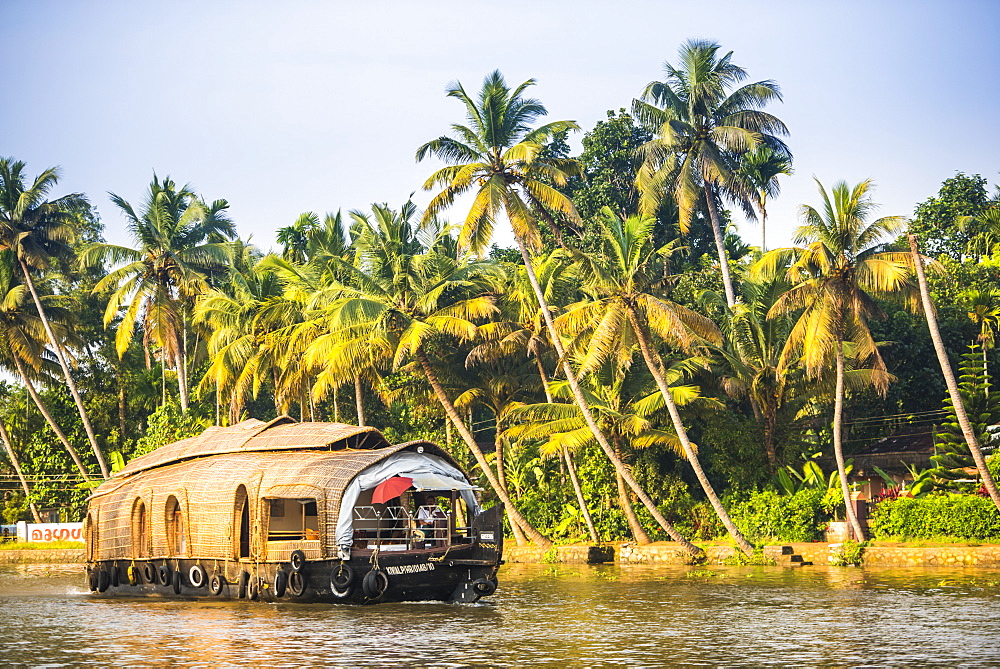 Houseboat in the backwaters near Alleppey (Alappuzha), Kerala, India, Asia