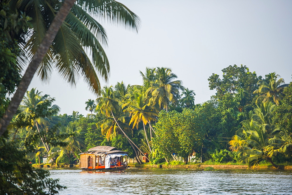 Houseboat in the backwaters near Alleppey (Alappuzha), Kerala, India, Asia