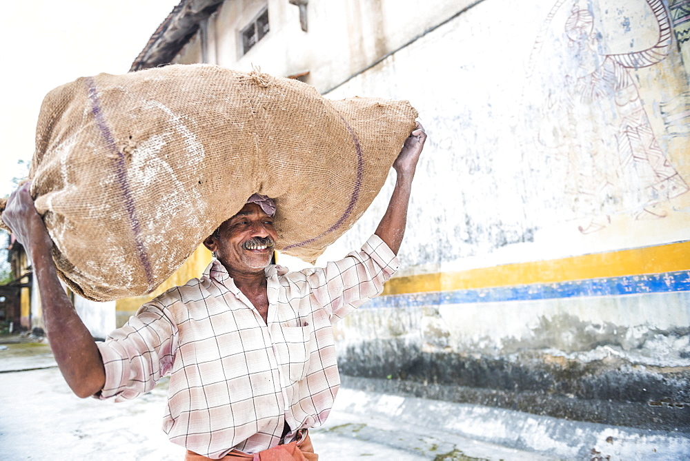 Man carrying sack of ginger at a market in Fort Kochi (Cochin), Kerala, India, Asia