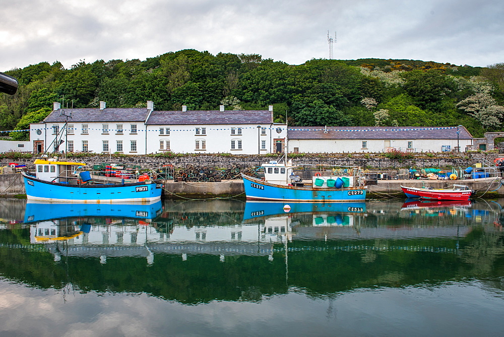 Rathlin Island, County Antrim, Ulster, Northern Ireland, United Kingdom, Europe