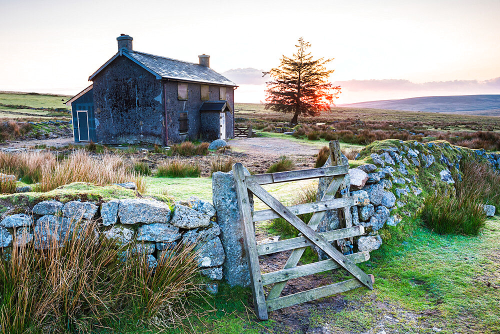 Nuns Cross Farm, Dartmoor National Park, Devon, England, United Kingdom, Europe