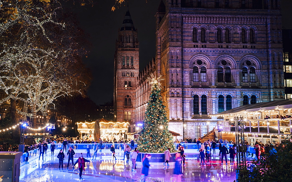 Christmas tree and ice skating rink at night outside the Natural History Museum, Kensington, London, England, United Kingdom, Europe