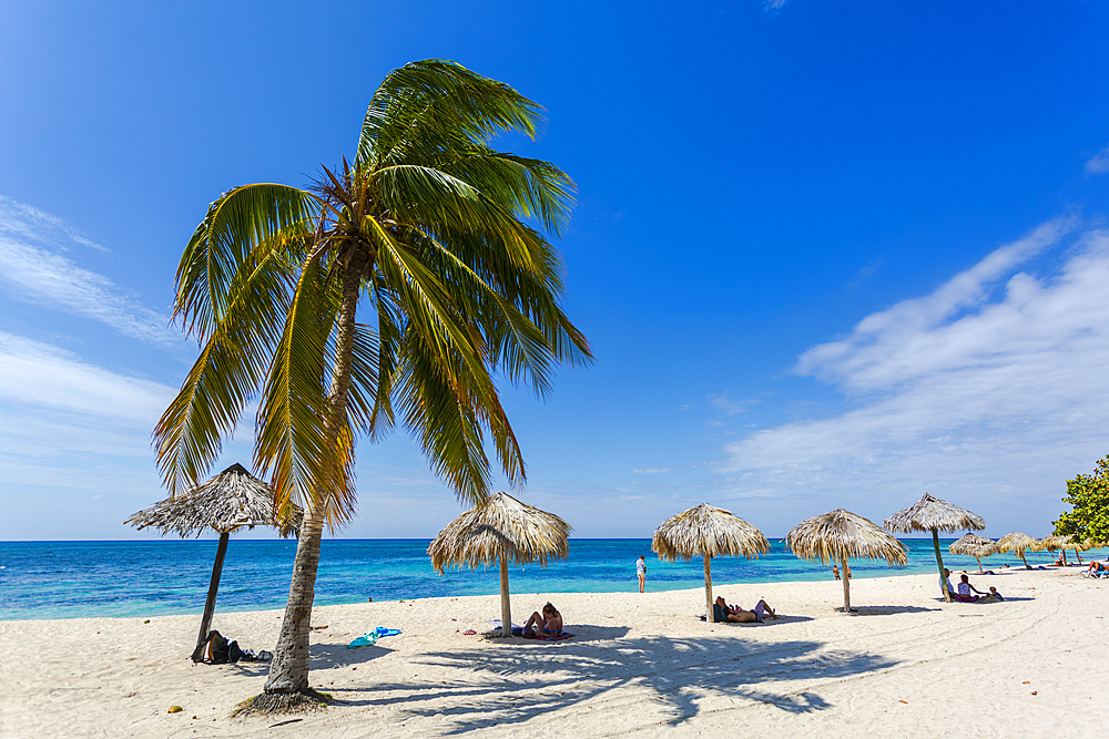 Palm trees and umbrellas on the beach Playa Ancon near Trinidad, Trinidad, Cuba, West Indies, Caribbean, Central America