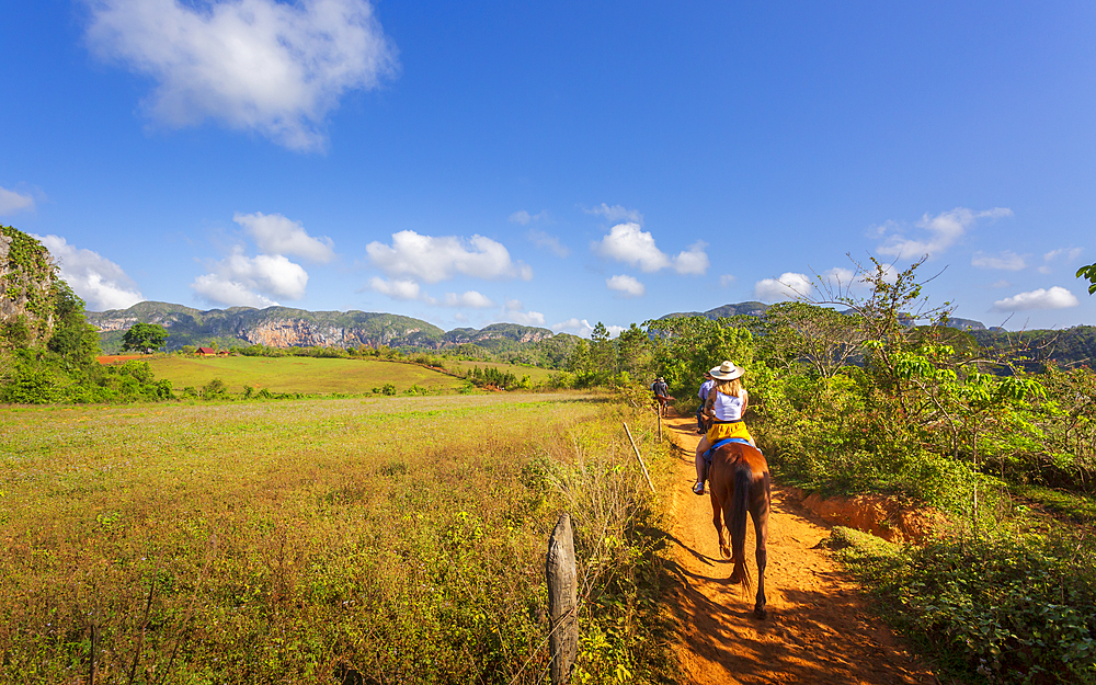 Tourists on a horse tour in Vinales National Park, UNESCO World Heritage Site, Pinar del Rio Province, Cuba, West Indies, Caribbean, Central America