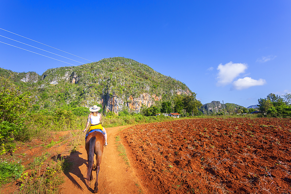 Tourists on a horse tour in Vinales National Park, UNESCO World Heritage Site, Pinar del Rio Province, Cuba, West Indies, Caribbean, Central America