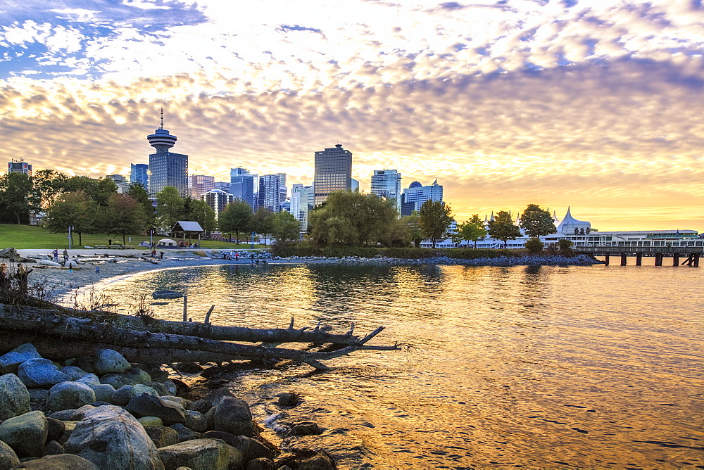 View of Canada Place and Vancouver Lookout Tower from CRAB Park, Vancouver, British Columbia, Canada, North America