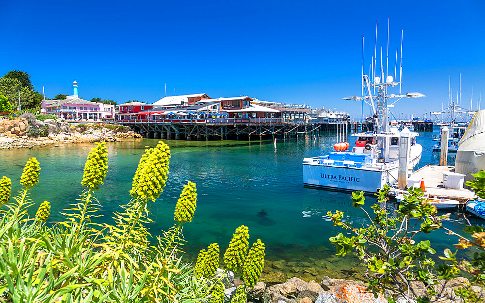 Fisherman's Wharf, Monterey Bay, Peninsula, Monterey, Pacific Ocean, California, United States of America, North America