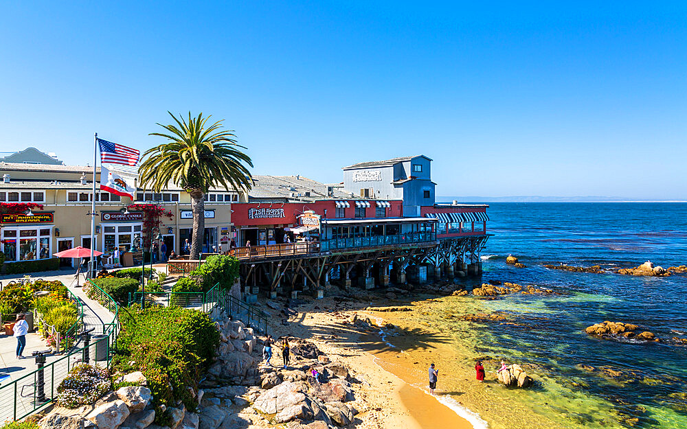 Monterey Bay, Peninsula, Monterey, California, United States of America, North America