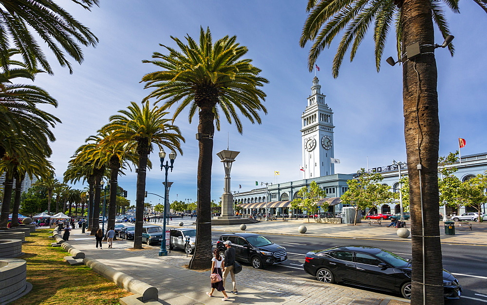 Ferry Building and palm trees, San Francisco, California, United States of America, North America