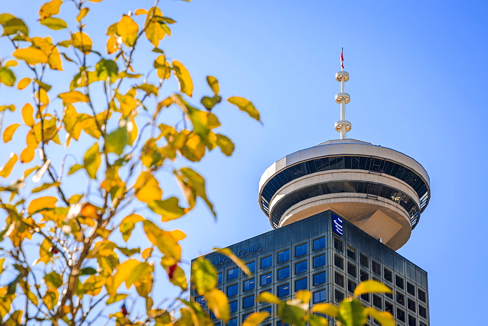 Vancouver Lookout tower, Vancouver, British Columbia, Canada, North America