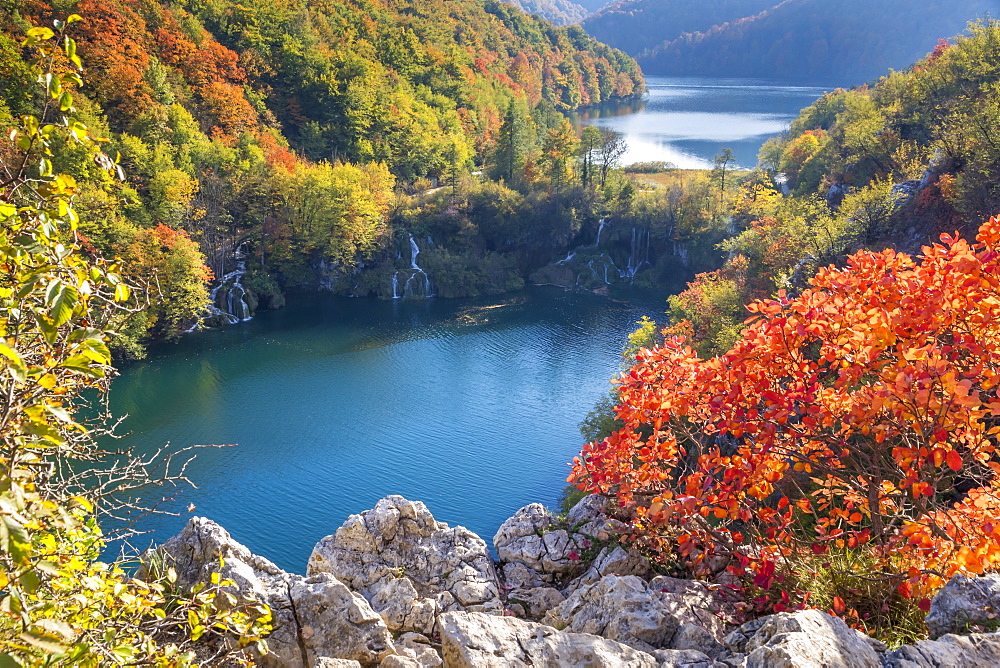 Elevated view from a lookout over the Lower Lakes inside Plitvice Lakes National Park, UNESCO World Heritage Site, Croatia, Europe