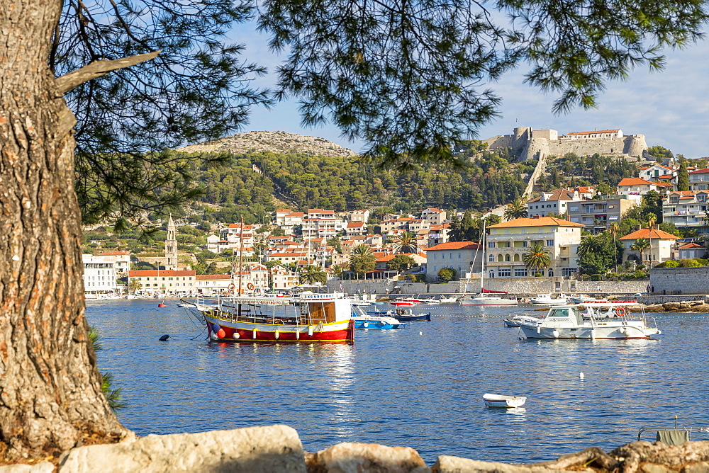 View to Hvar Town and the Spanish Fortress, Hvar, Croatia, Europe