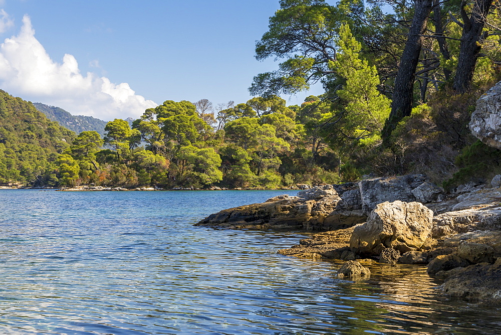 Veliko Jezero (Big Lake) on Mljet Island, Croatia, Europe