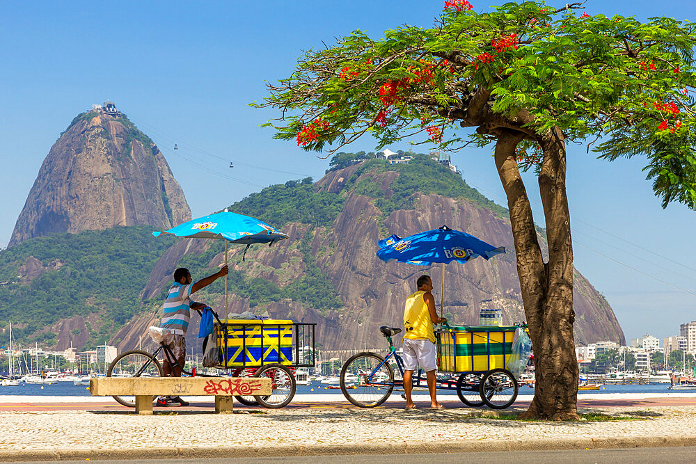 Street vendors standing with their bicycles in Botafogo with view to the Sugar Loaf, Rio de Janeiro, Brazil, South America