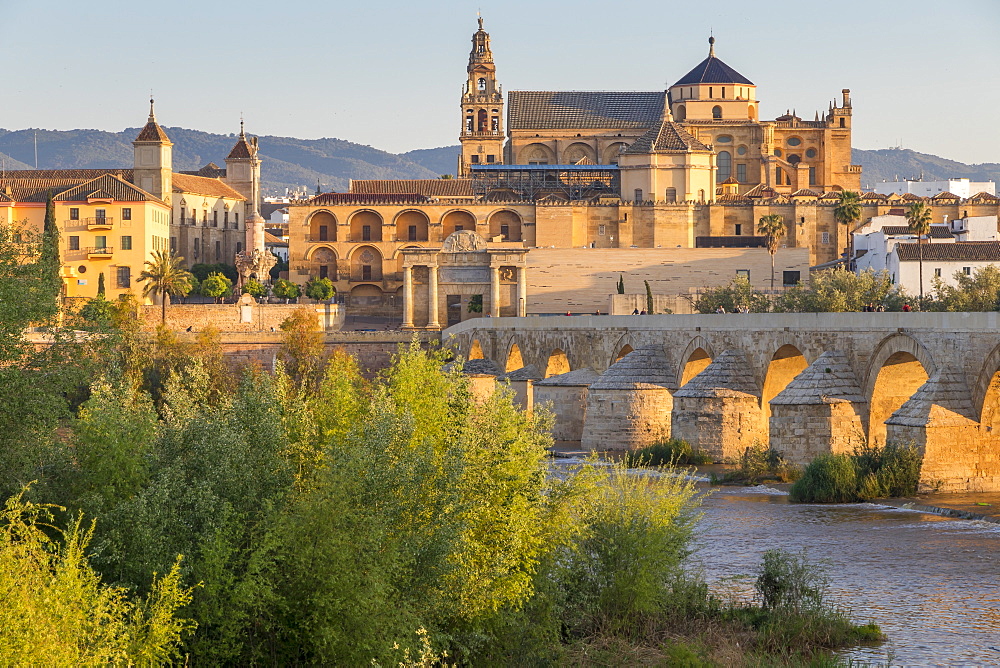 The Mosque-Cathedral (Great Mosque of Cordoba) (Mezquita) and the Roman Bridge at first light, UNESCO World Heritage Site, Cordoba, Andalusia, Spain, Europe