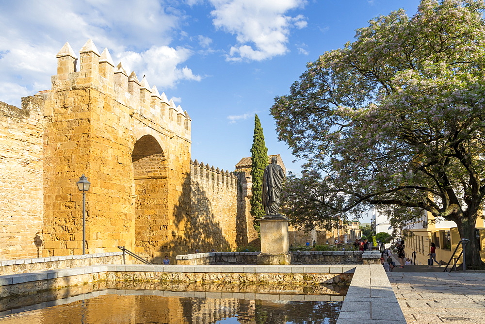 Historical Almodavar Gate, Cordoba, Andalusia, Spain, Europe