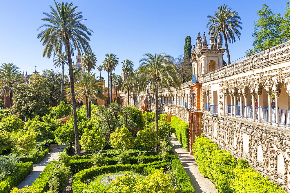 Alcazar Gardens, UNESCO World Heritage Site, Seville, Andalusia, Spain, Europe