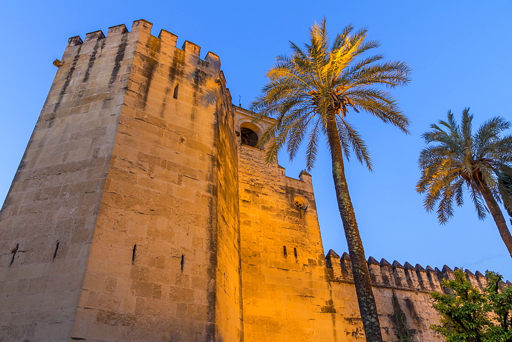 Illuminated walls of the Royal Alcazars at dusk, Cordoba, Andalusia, Spain, Europe