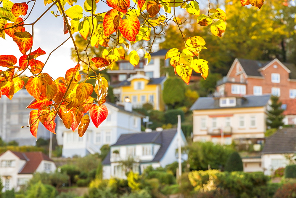 Small mansions at the so-called Treppenviertel of the Blankenese district in autumn, Hamburg, Germany, Europe