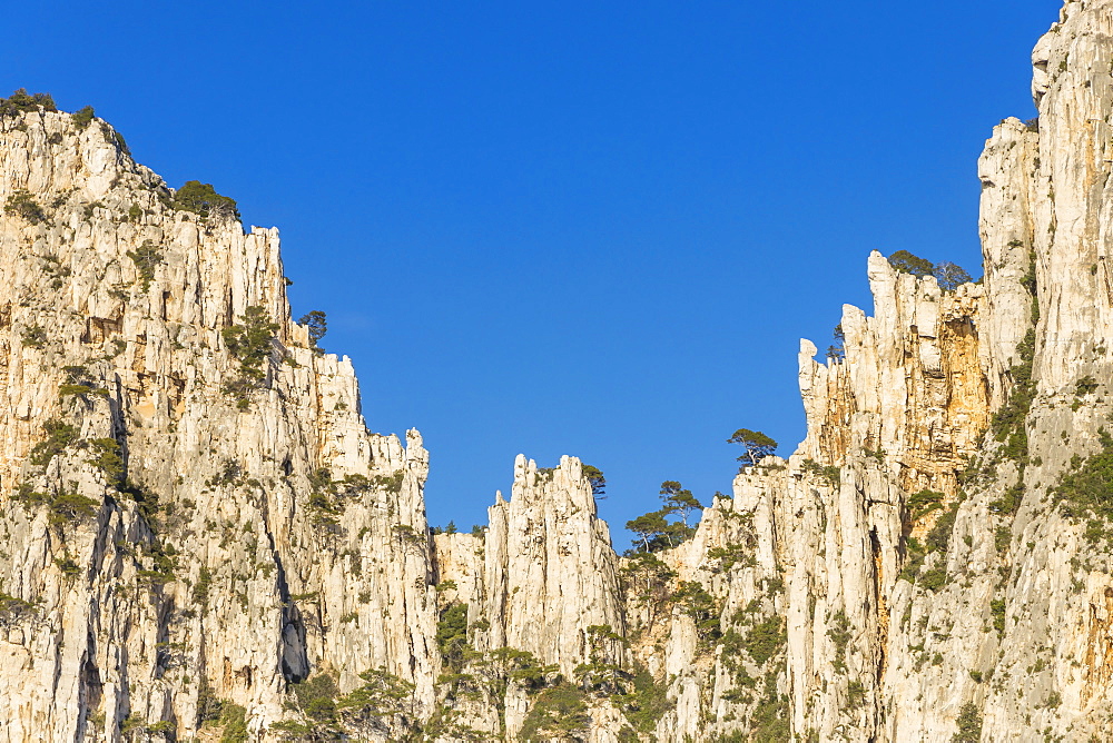 Rock formation at Calanque de l'Oule, Calanque National Park, Marseille, Bouches du Rhone, Provence, France, Europe