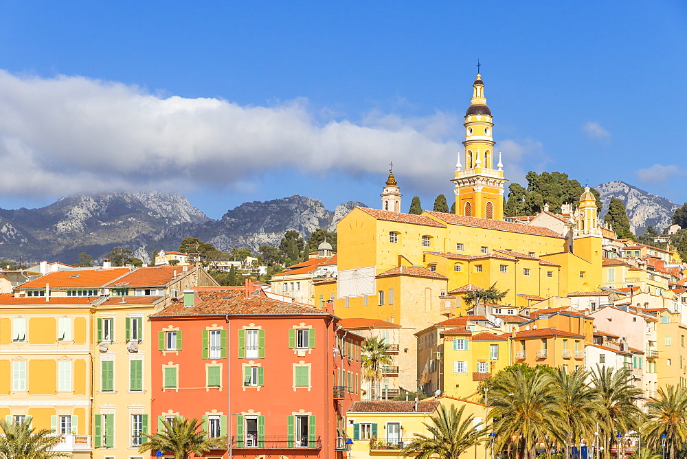 The old town with the Saint-Michel-Archange Basilica, Menton, Alpes Maritimes, Cote d'Azur, French Riviera, Provence, France, Mediterranean, Europe