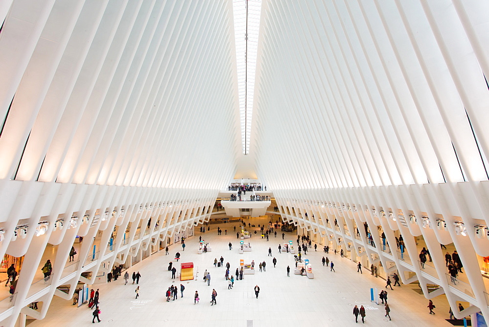 Oculus, World Trade Center Transportation Hub, Financial District, Manhattan, New York City, New York, United States of America, North America