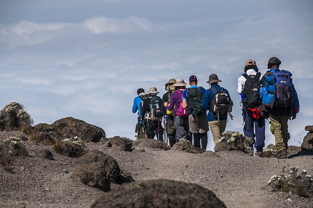 A group of Trekkers on the Machame Route on Mount Kilimanjaro descending towards the clouds, Tanzania, East Africa, Africa