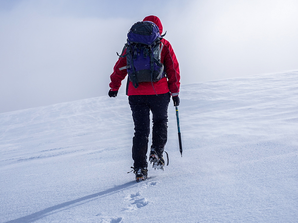 A female mountaineer crossing the snow fields in winter in the Cairngorm National Park, Scotland, United Kingdom, Europe