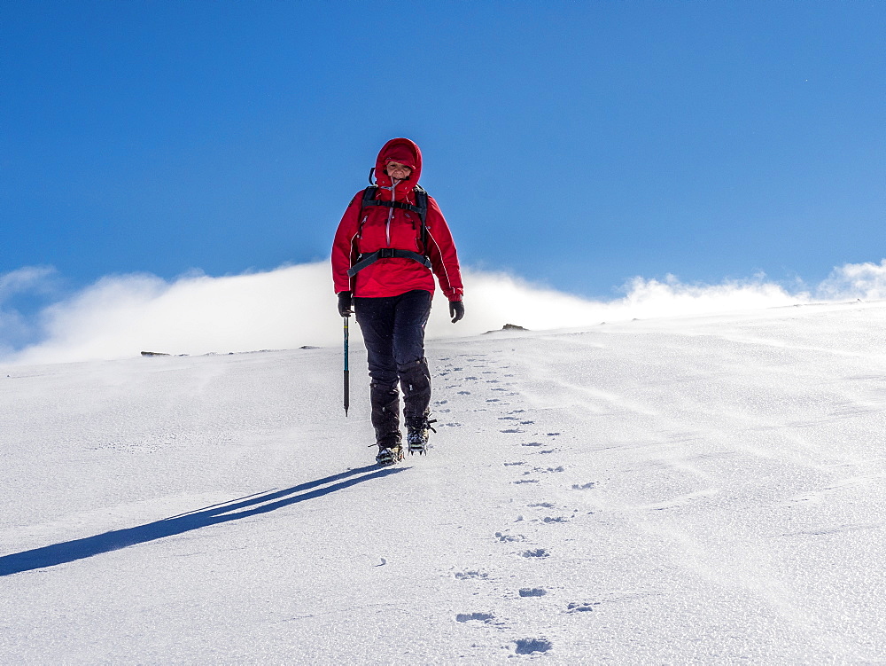 Female winter walker descending a fresh snowy slope in the Cairngorm National Park, Scotland, United Kingdom, Europe