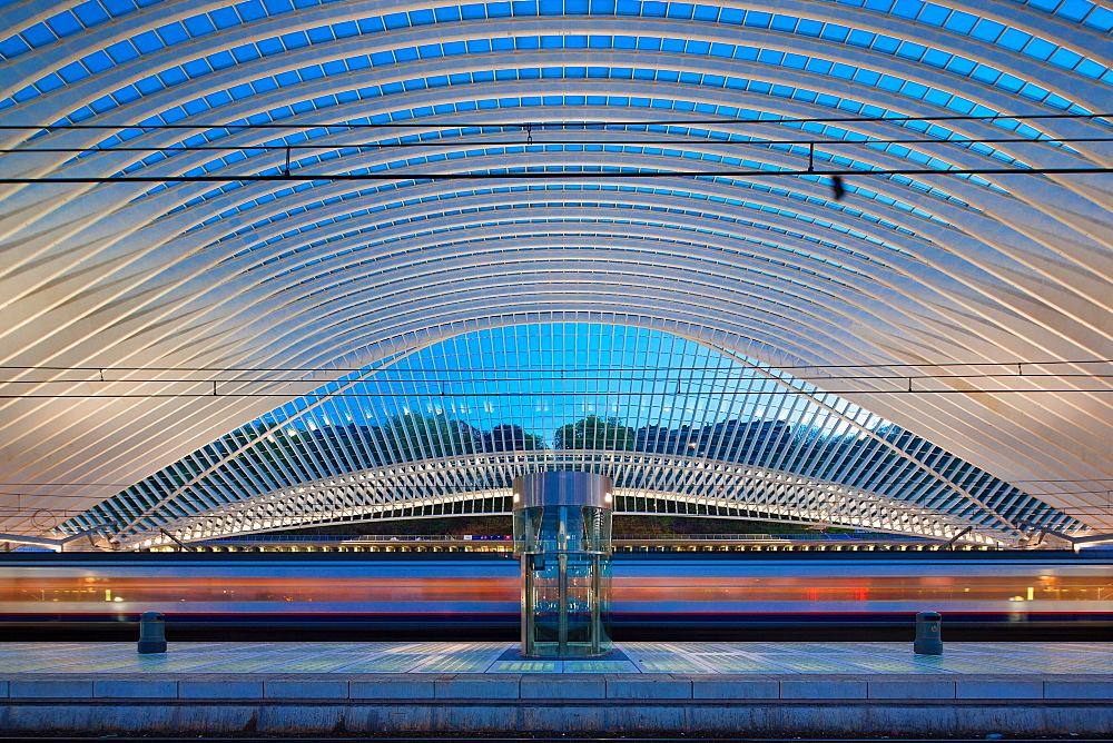 Liege-Guillemins railway station, Liege, Belgium, Europe