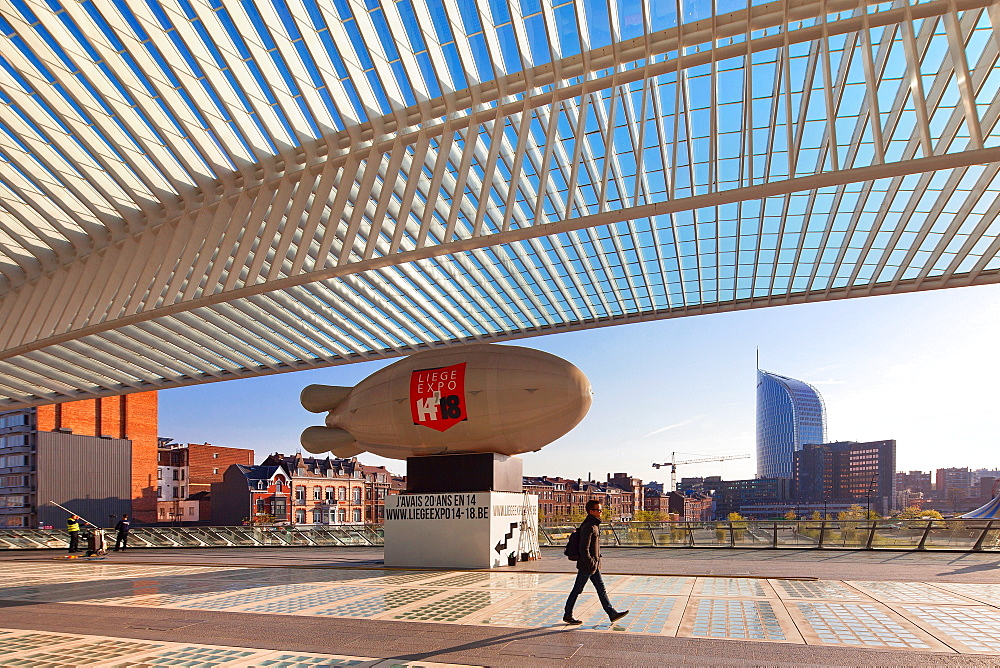 Liege-Guillemins railway station, Liege, Belgium, Europe