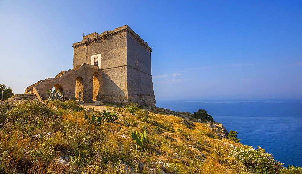 Torre Santa Maria dell'Alto, Nardo, Puglia, Italy, Europe