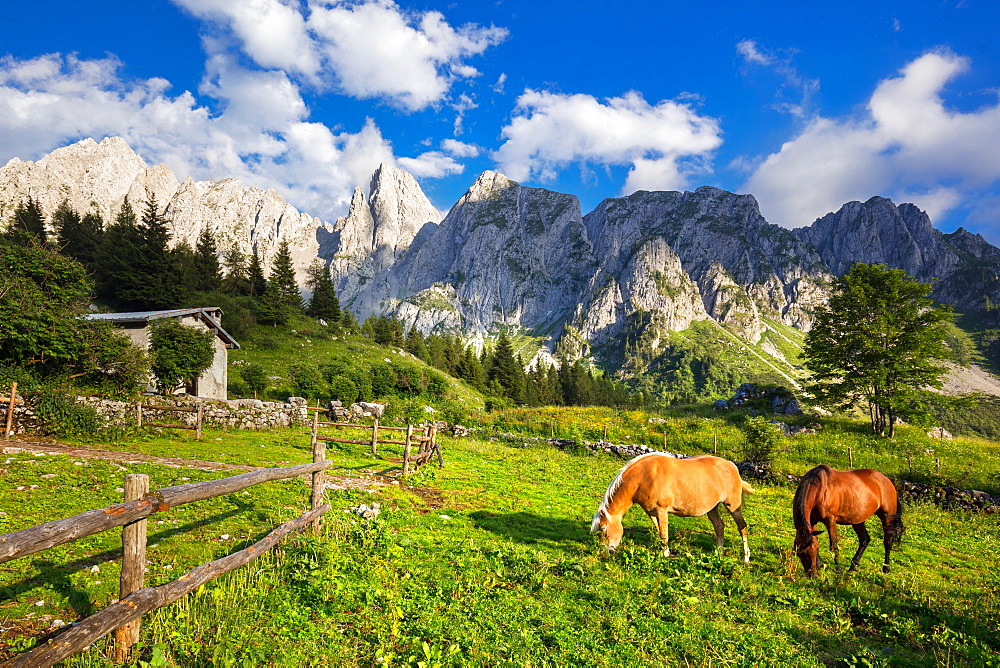 On the way to the Passo dei Campelli, Val di Scalve, Lombardy, Italy, Europe