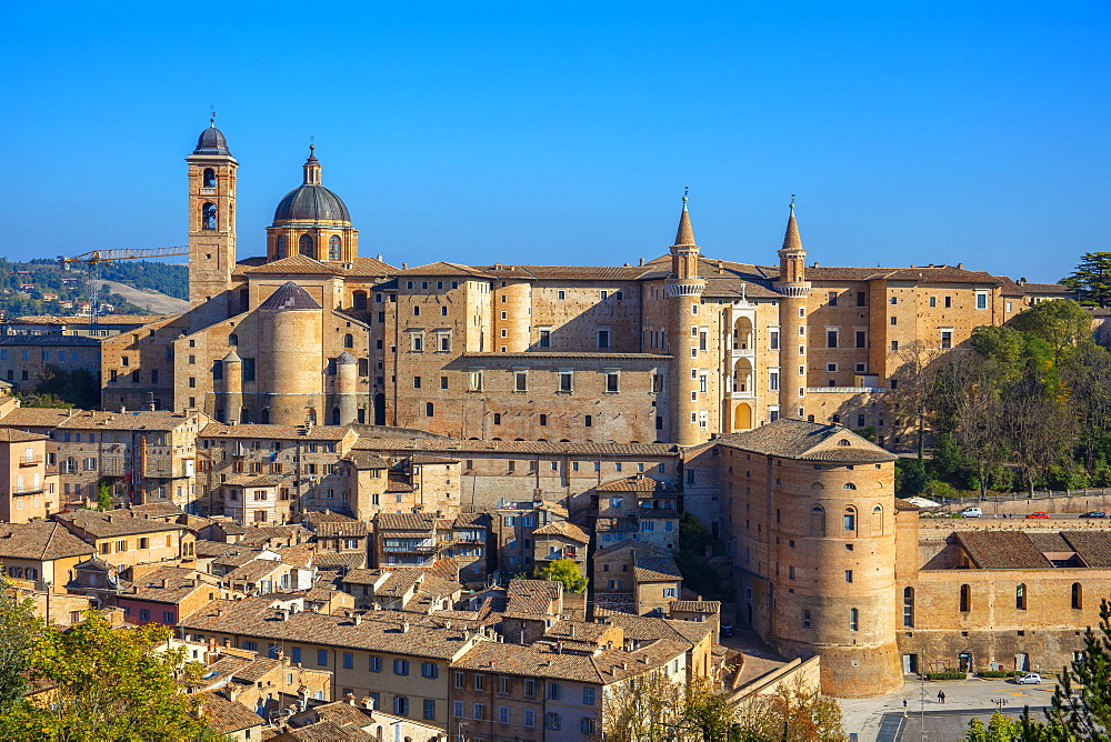 Urbino, Marche, Italy, Europe