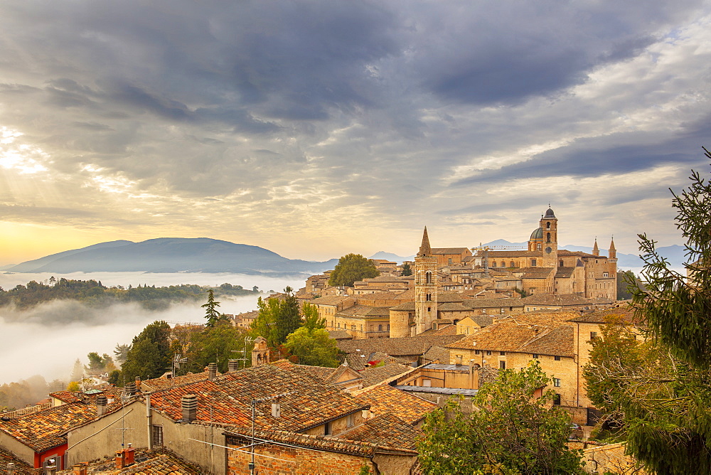 Urbino, Marche, Italy, Europe