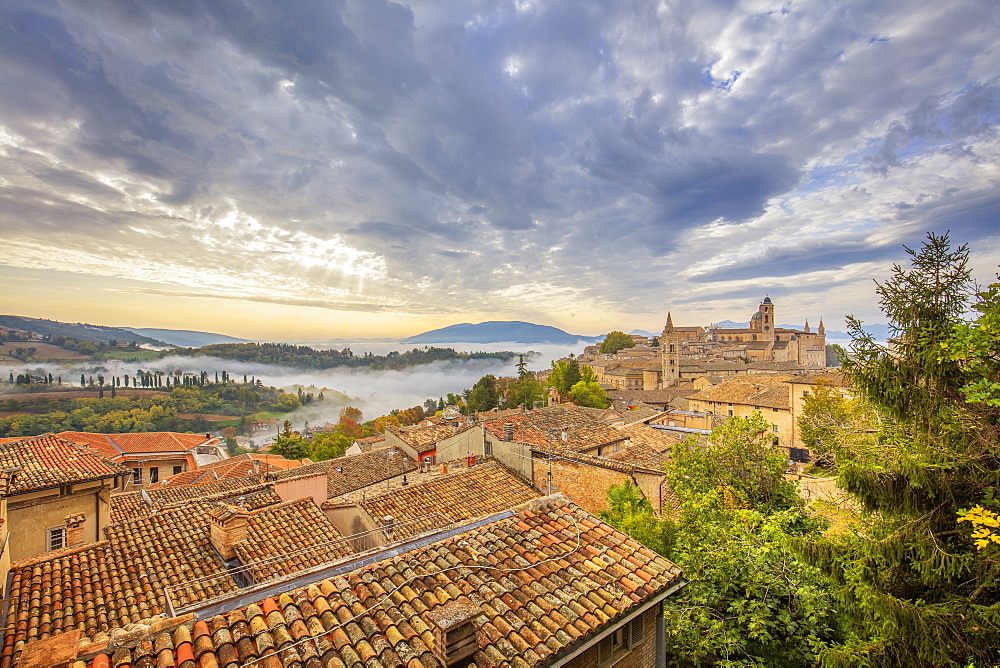 Urbino, Marche, Italy, Europe