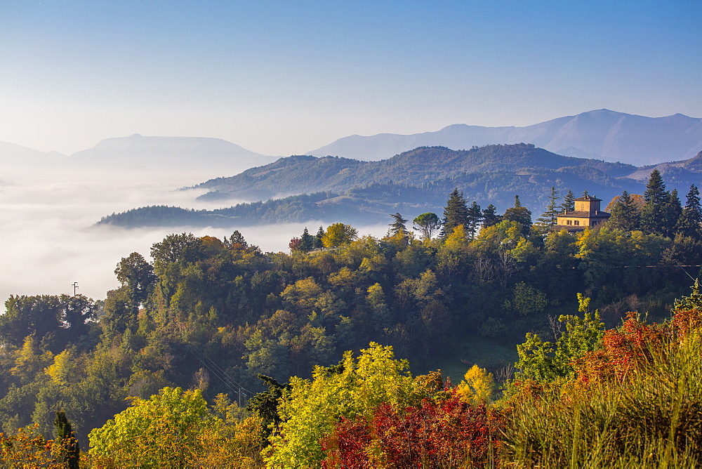 Urbino, Marche, Italy, Europe